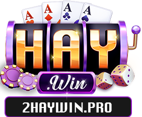 2haywin.pro